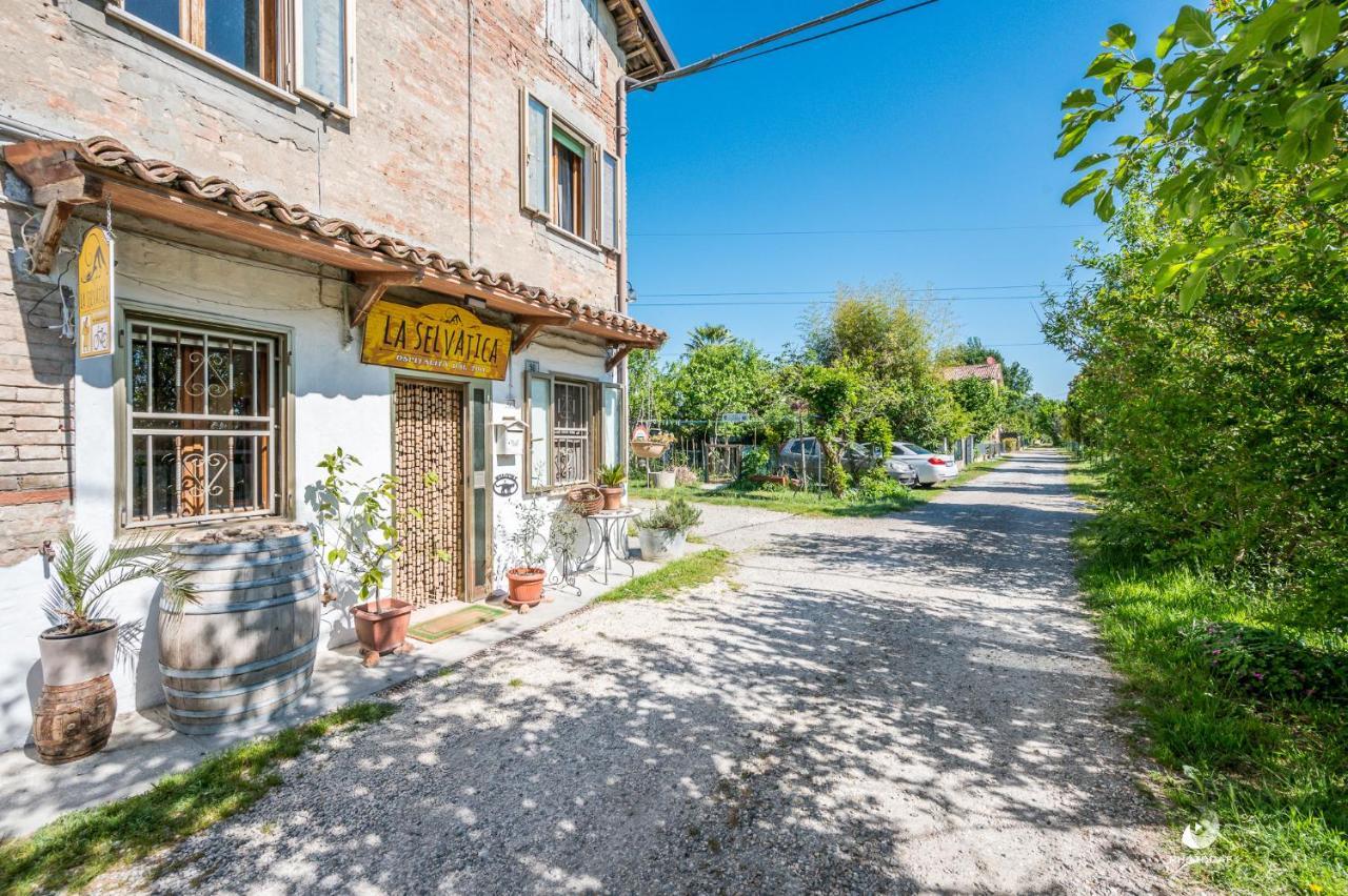 Selvatica50 B&B Nonantola Kültér fotó
